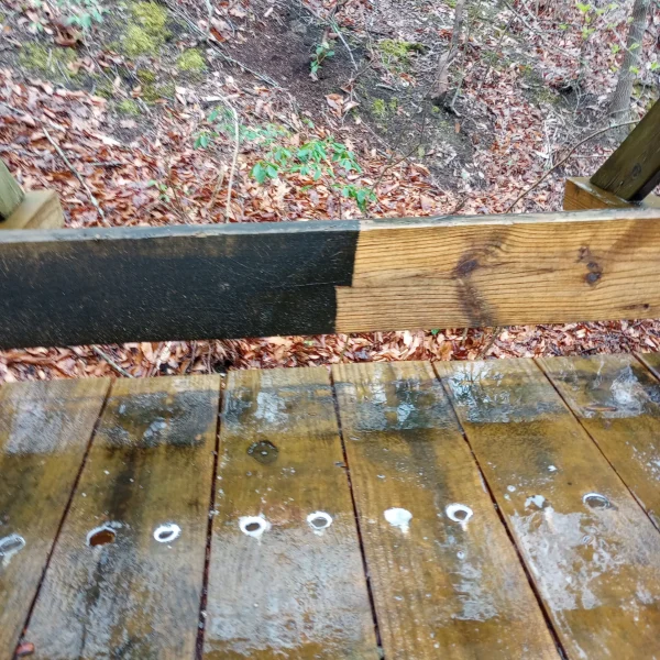 Deck Cleaning Roanoke